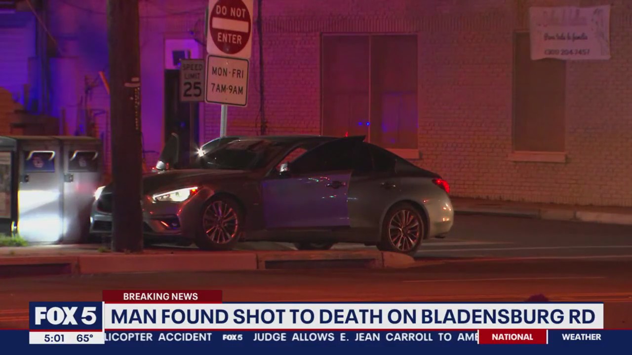 Man found shot to death inside car