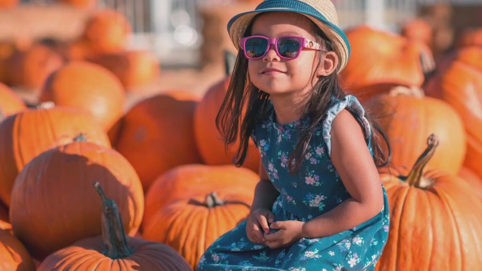 Pumpkin patches in Austin, Central Texas