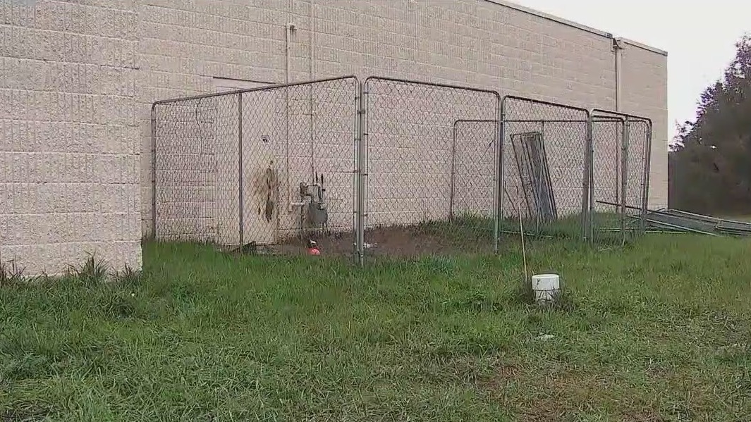 Andover animal cruelty charges latest