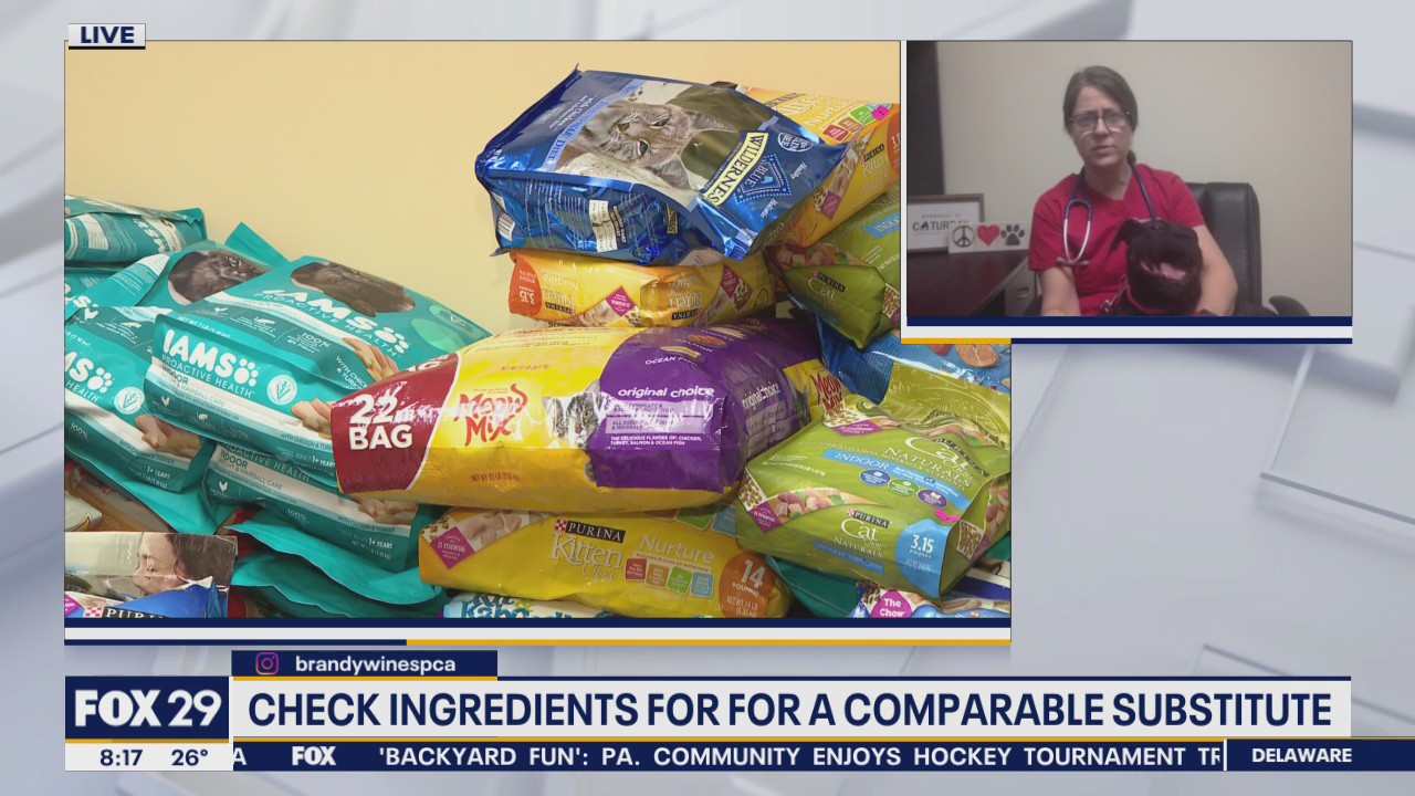 Pet food shortage impacting families nationwide