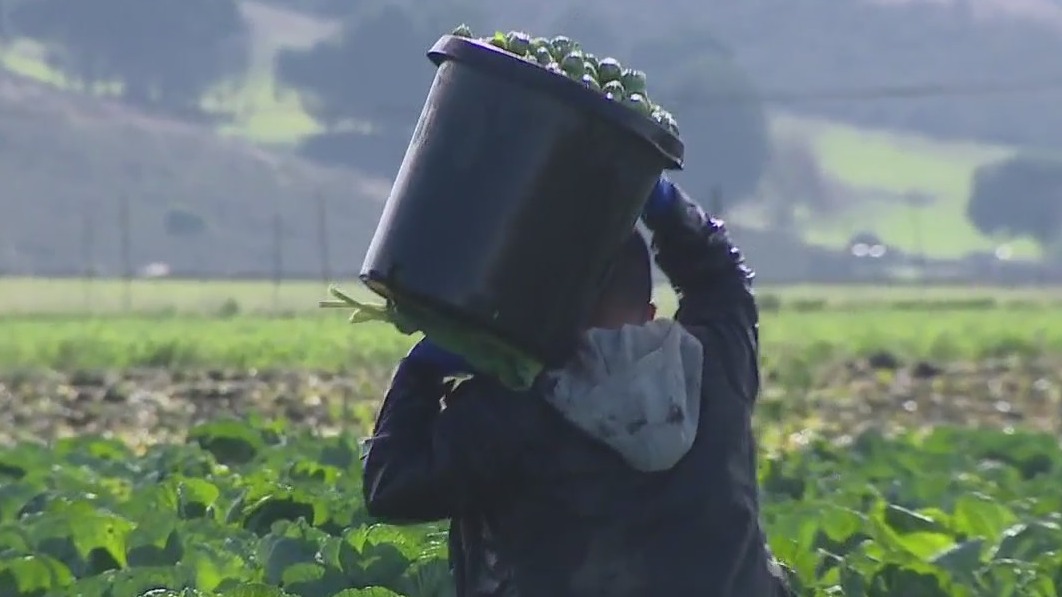 Half Moon Bay farmworkers: One year after tragedy