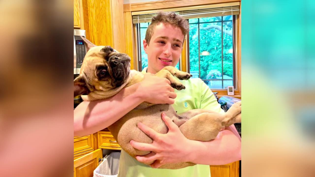 Young organ donor honored