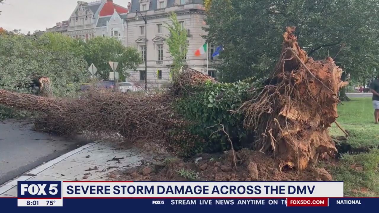 Severe storms cause damage across DMV