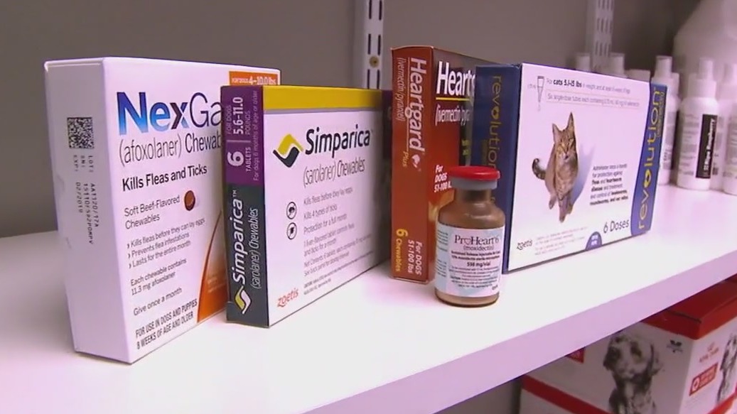 How to keep pets flea and tick free