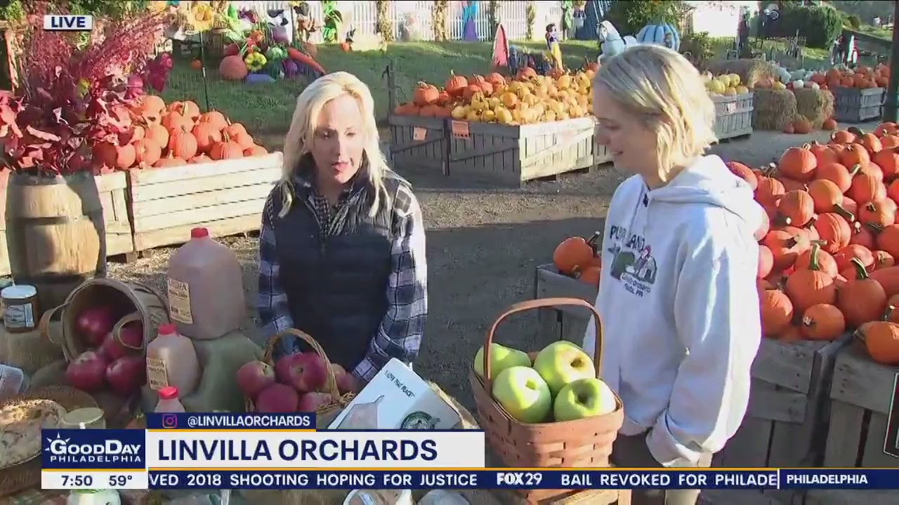 Inside Linvilla Orchards’ Pumpkinland