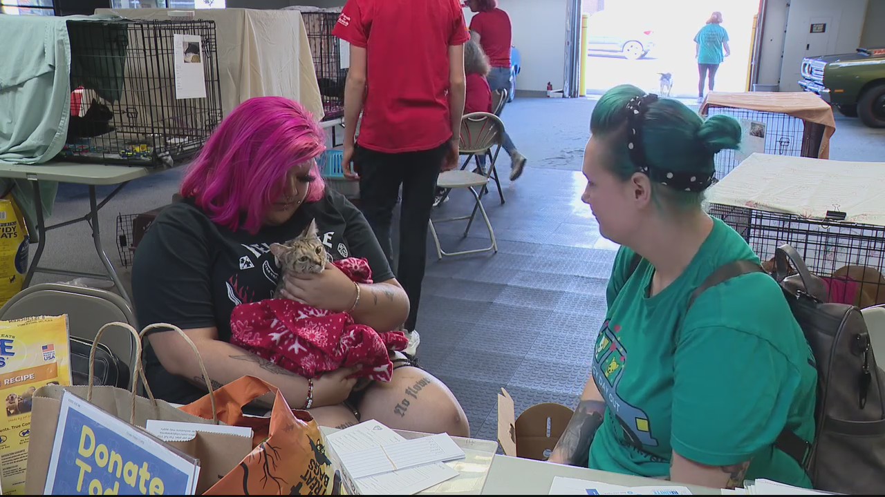 Pet adoptions and classic cars team up for a one of a kind event