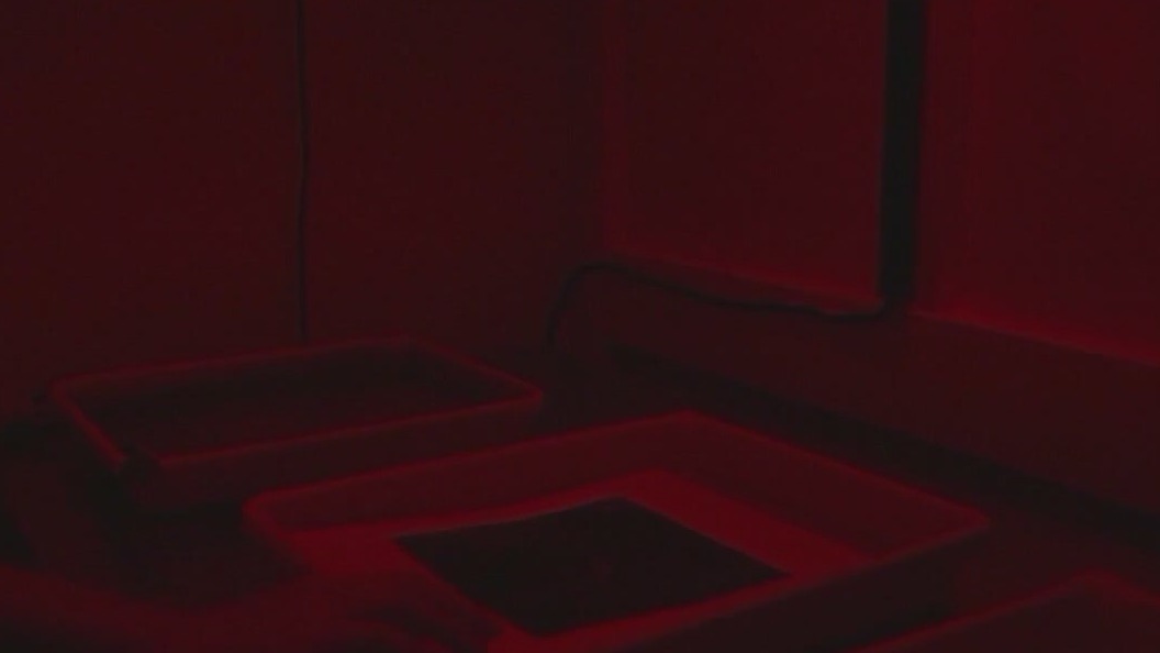 Owner of East Austin community darkroom asking for help to keep studio open