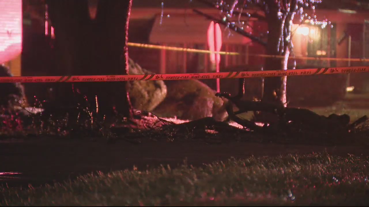 Falling branches, heavy ice disrupting power in Southeast Michigan