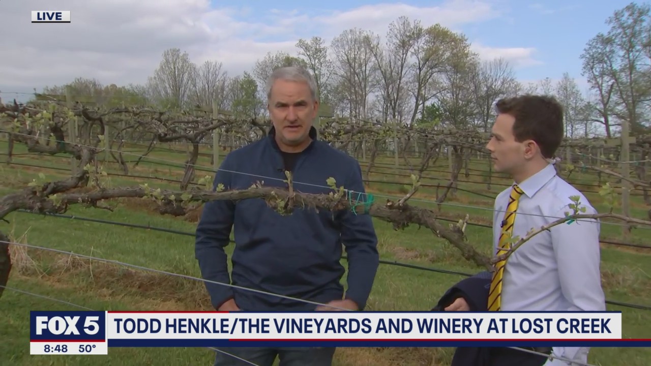 FOX 5 Field Trip: Loudoun County Barrel Tasting Saturday