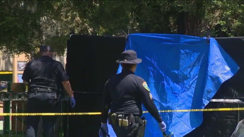 2 killed in Davis stabbings