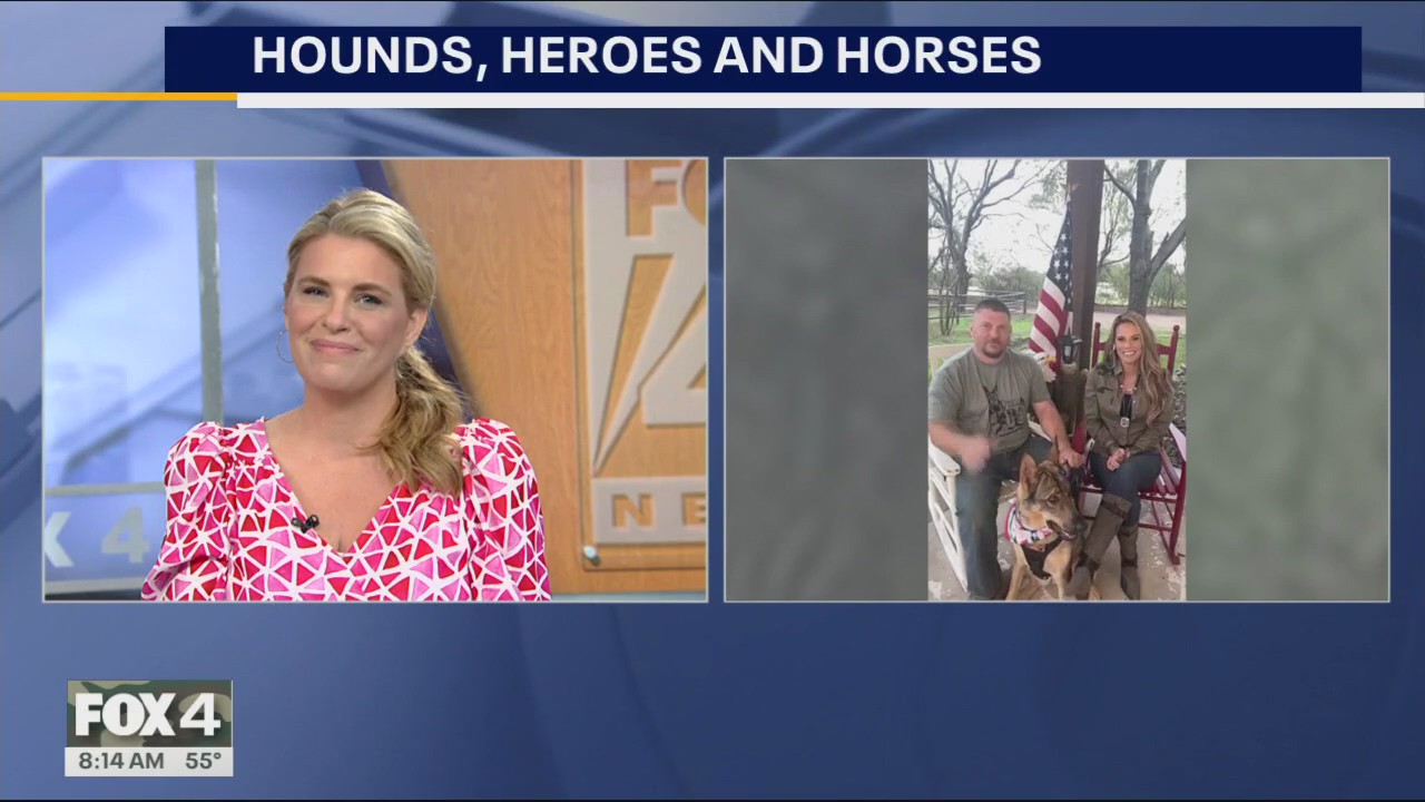 Hounds, Heroes, and Horses