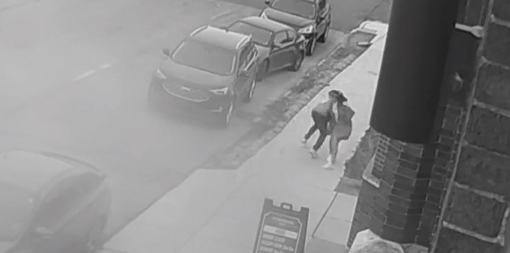 Detroit purse snatcher wanted
