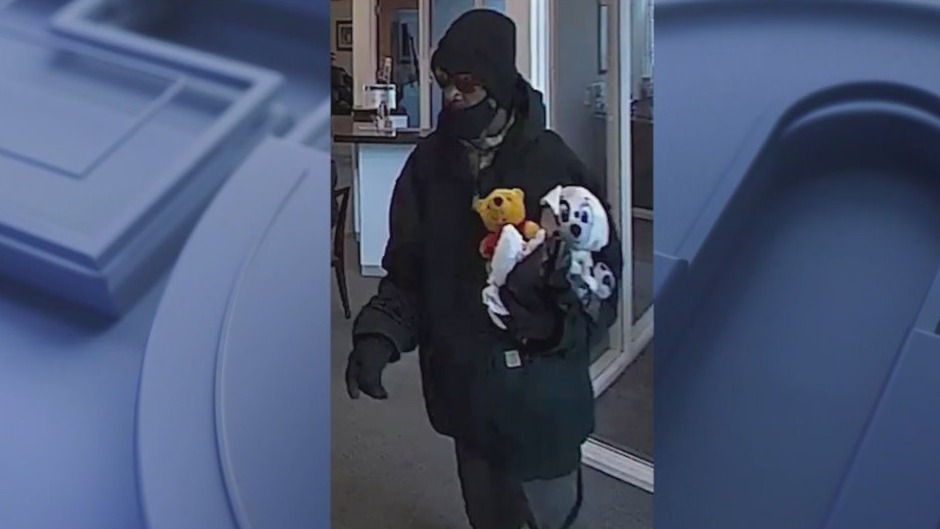 FBI seeks 'Stuffed Bear Bandit' involved in violent bank robbery