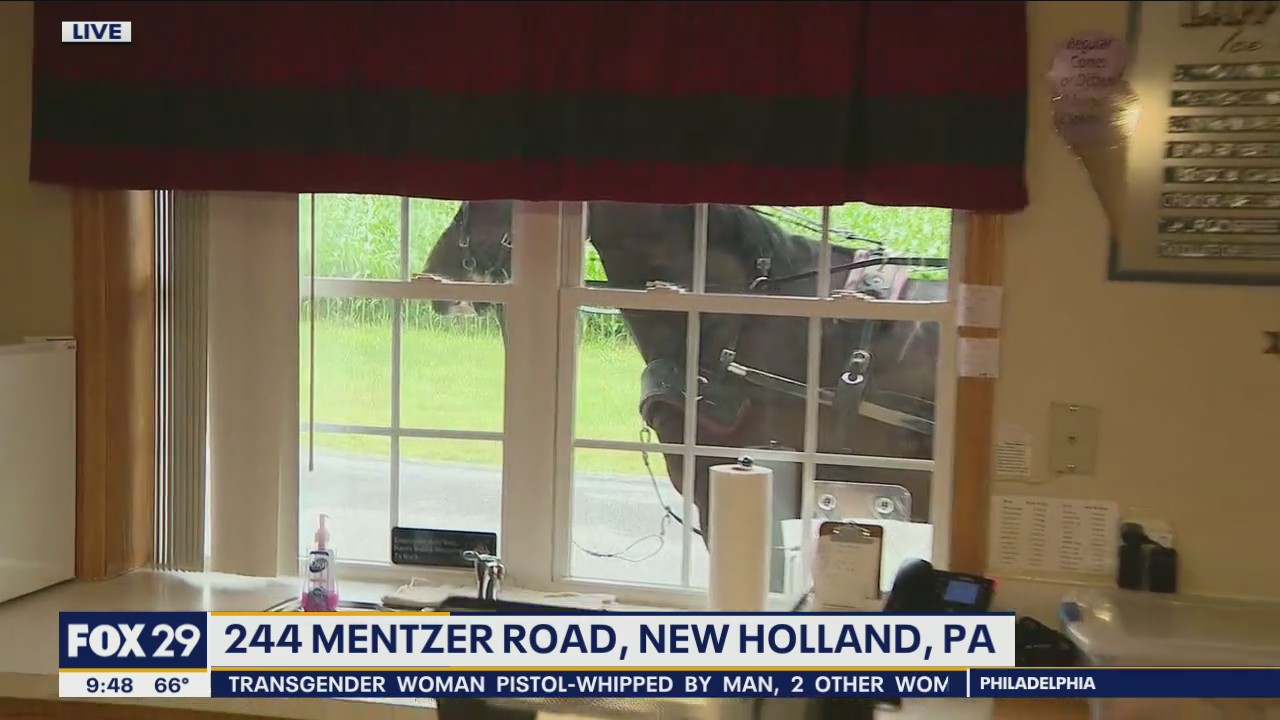 Horse and buggy spotted pulls up to drive-thru at New Holland ice cream shop