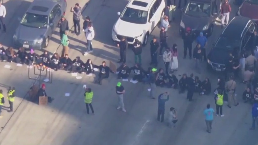 Ceasefire protesters shut down 110 Freeway