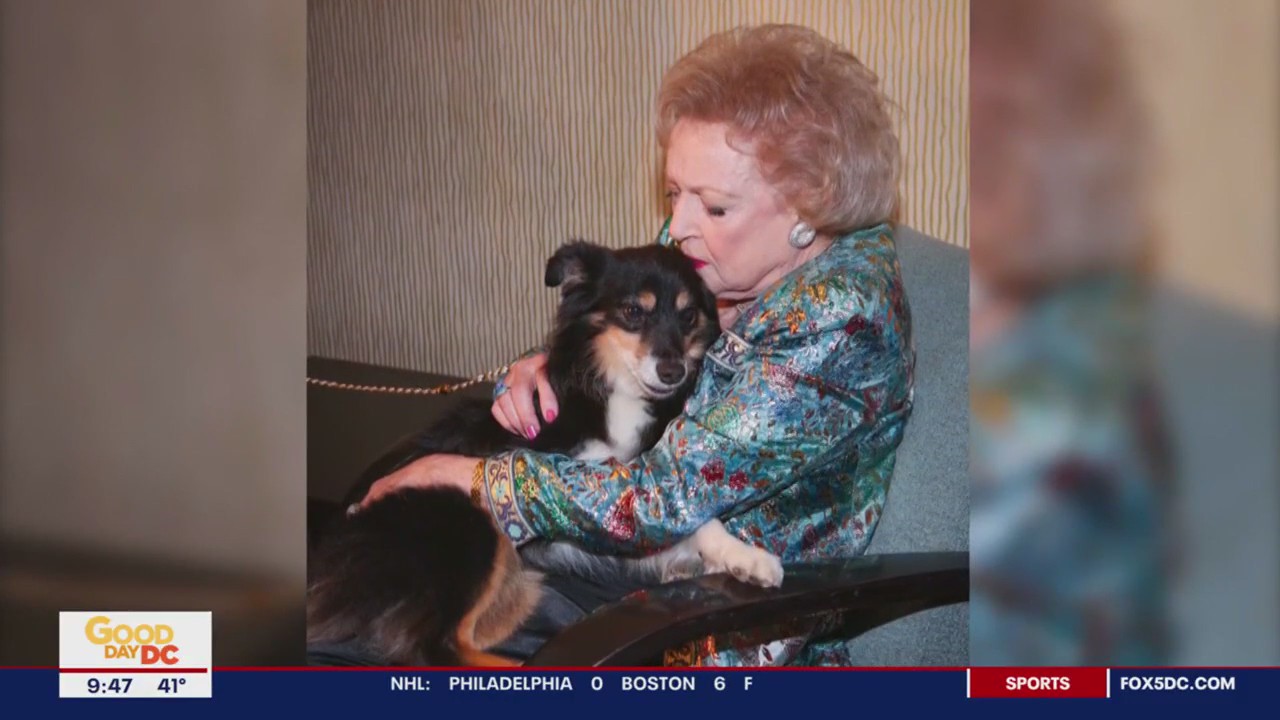 American Humane takes on #BettyWhiteChallenge