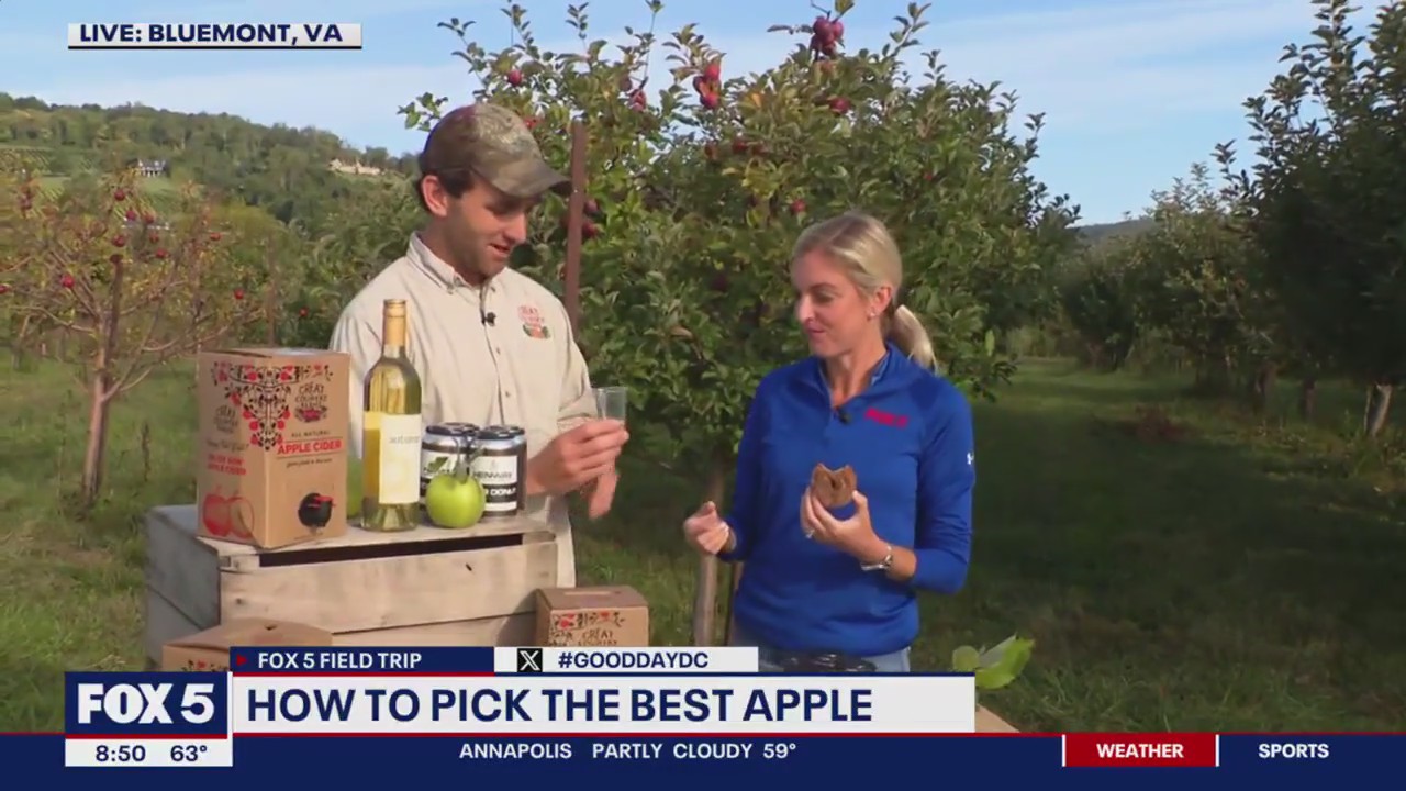 How to pick the best apple at Great Country Farms