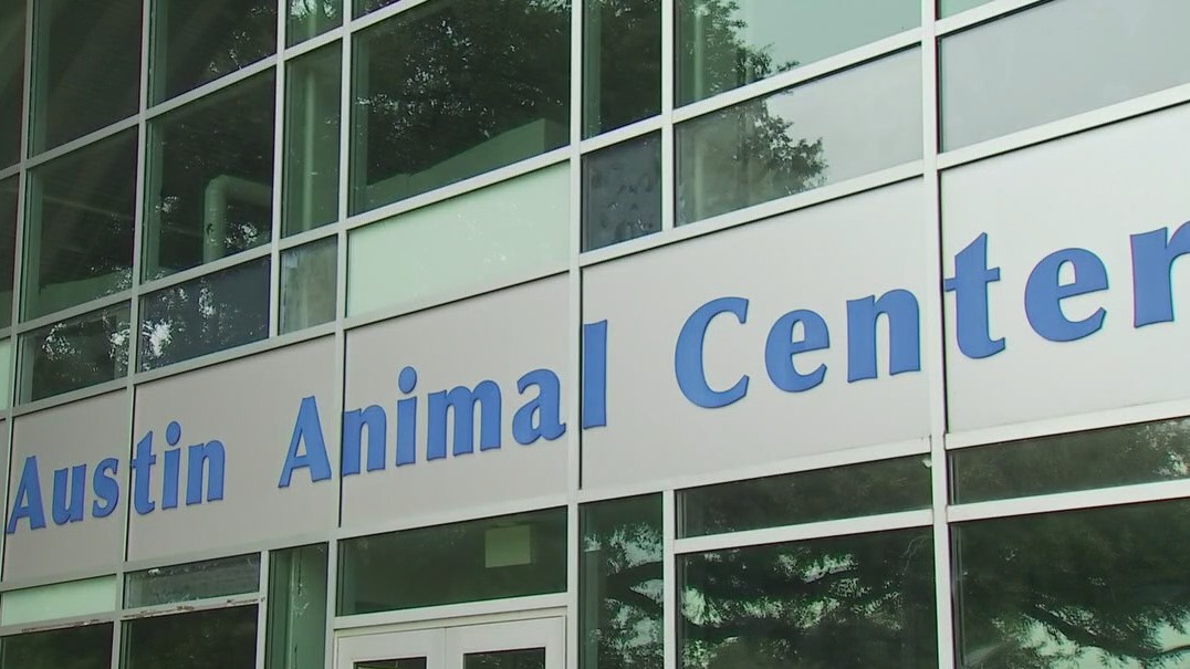 Austin Animal Center enacts strict procedures due to overcrowding
