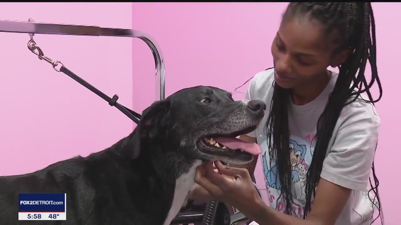 Metro Detroit woman works to break barriers as Black dog groomer