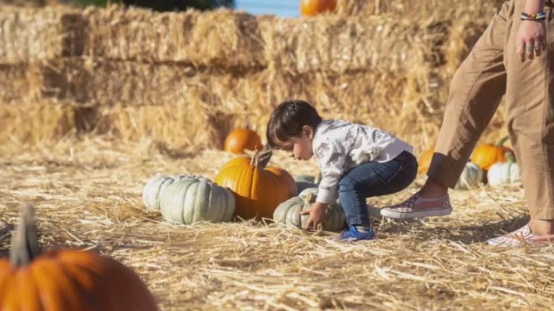 Halloween celebrations throughout the Bay Area