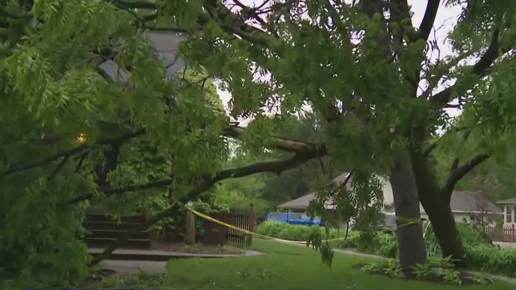 Storm damage in Milton, Wisconsin