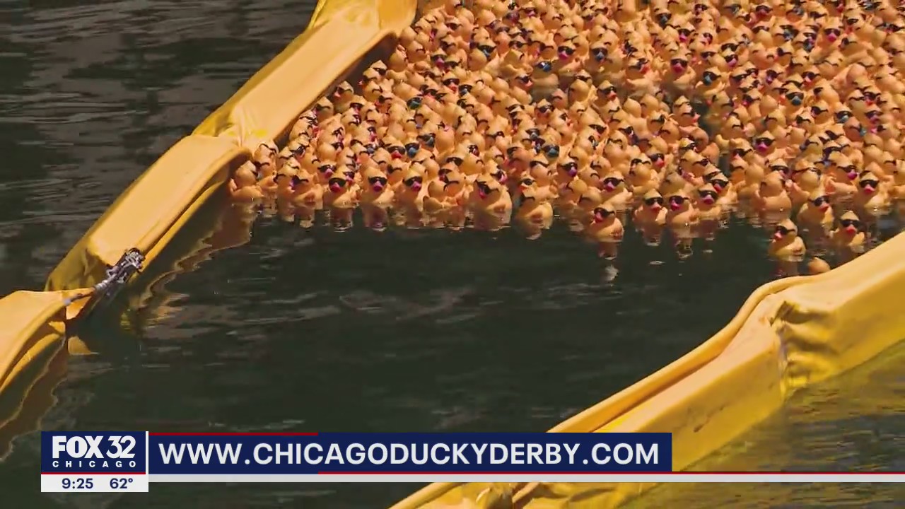 Special Olympics Illinois Ducky Derby starts duck ‘adoptions’ ahead of August event