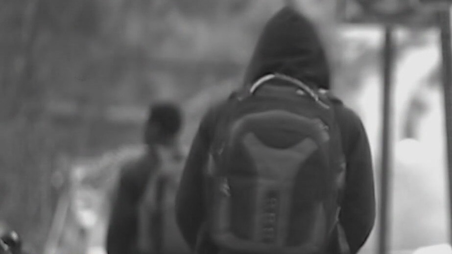 Risk factors for youth violence
