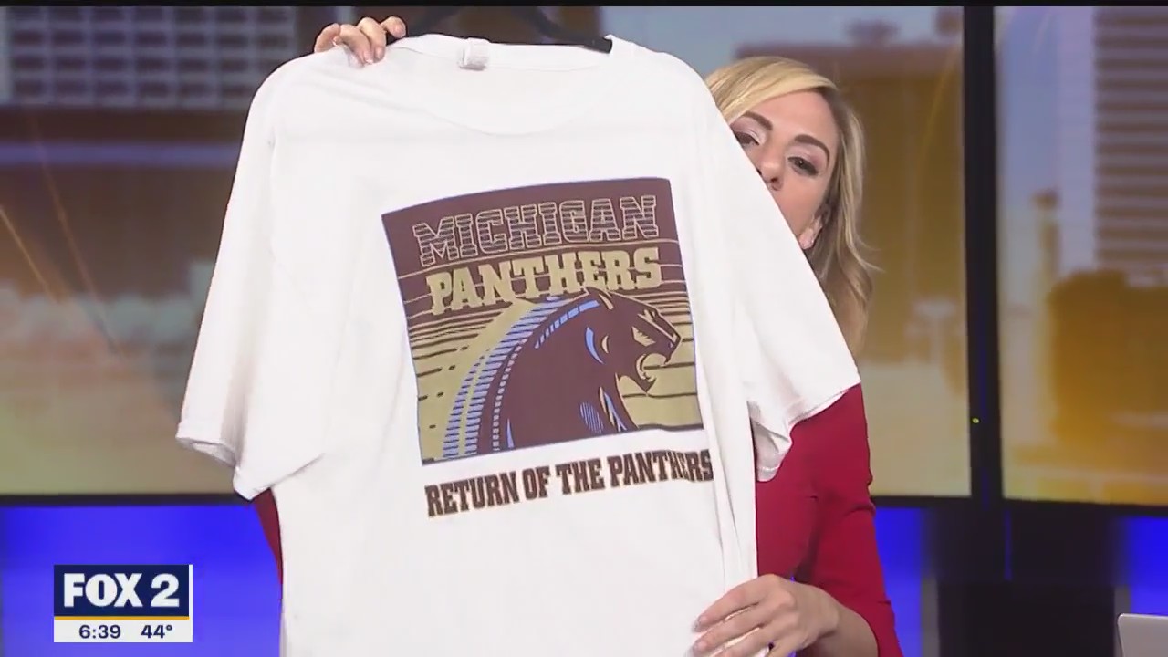 Michigan Panthers games in Detroit offer affordable, family-friendly fun