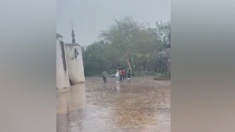 Snow falls at Disneyland, video shows