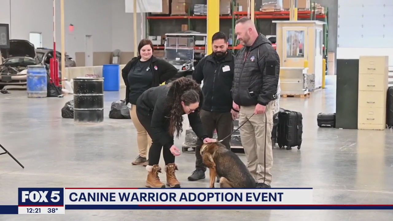 Canine warriors find forever homes during Virginia adoption event