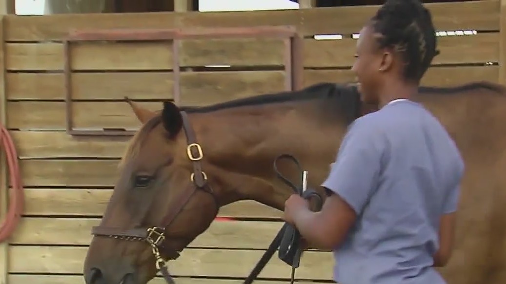 Program pairs Florida inmates with retired racehorses