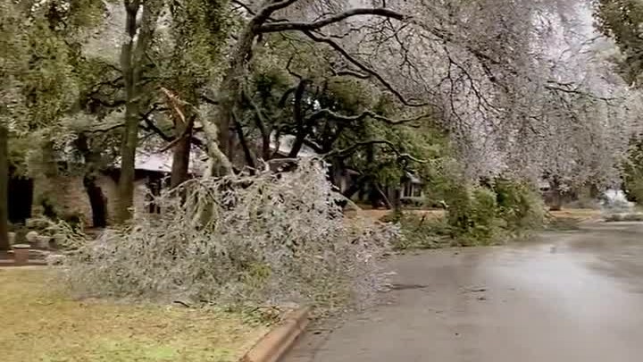 Icy branches fall along Austin street amid winter storm