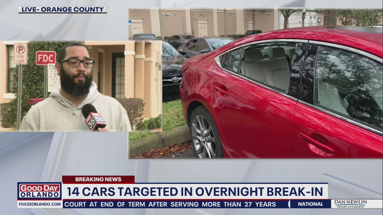More than 14 cars targeted in overnight break-in