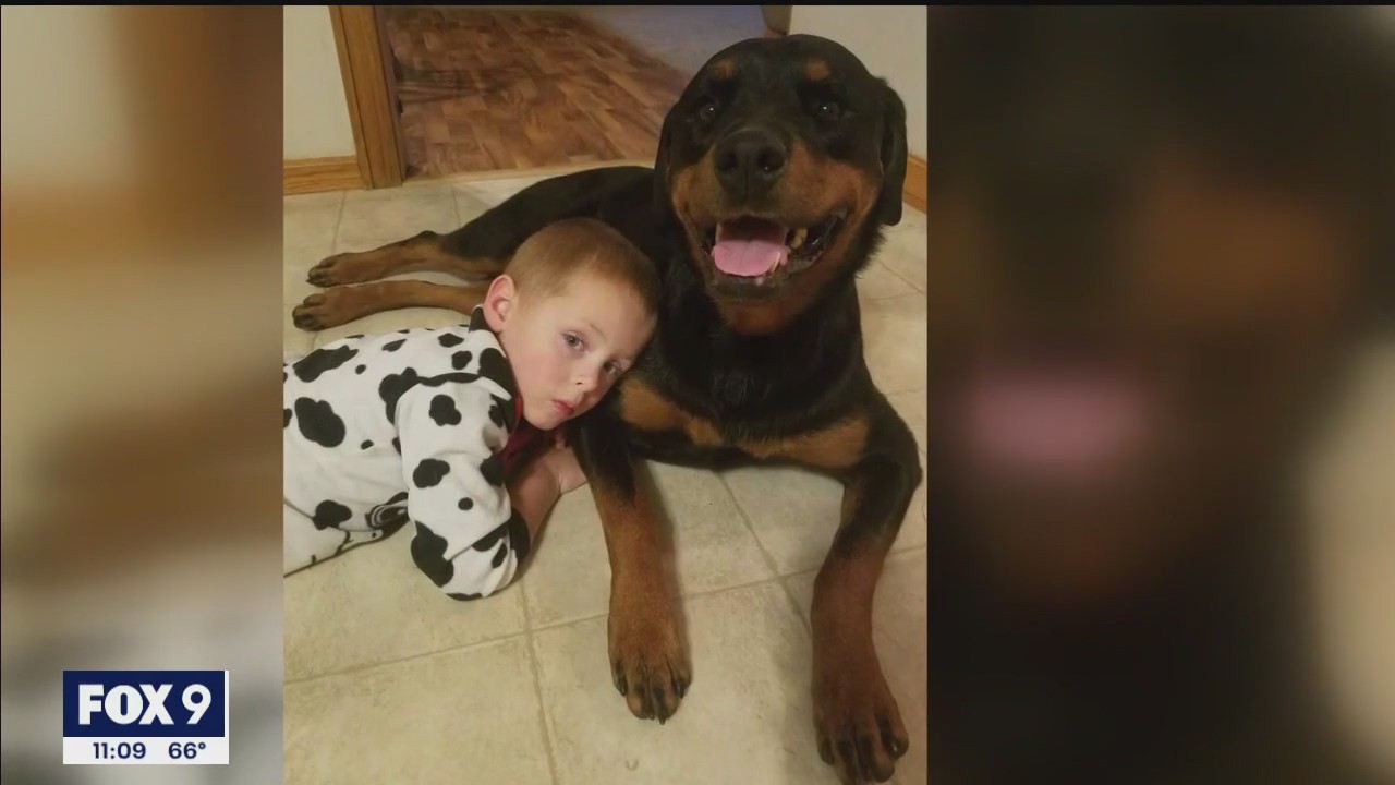 Minnesota family mourns dog they say was kicked, punched during Amazon delivery