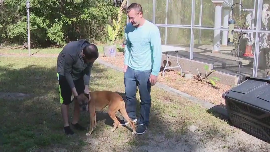 Dog owners share warning after rattlesnake bite