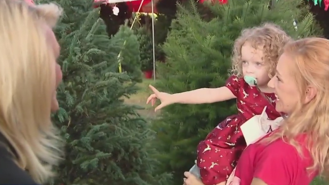 Tampa Bay Area company donates Christmas trees
