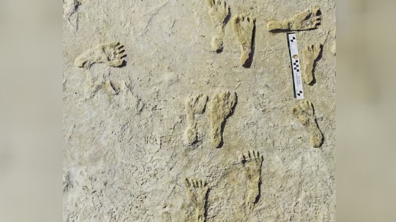 Across America: Ancient footprints found