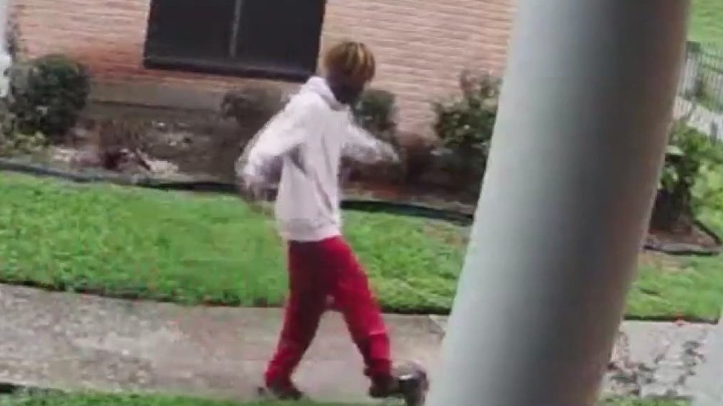 Man facing charges after animal abuse caught on camera