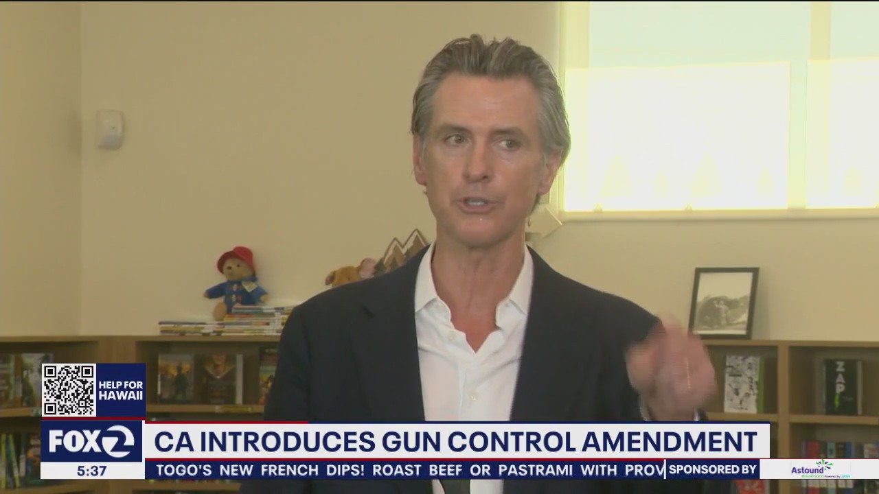 California introduces gun control amendment