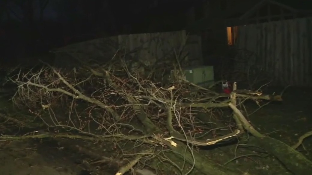 Possible tornadoes shred through Chicago's west suburbs