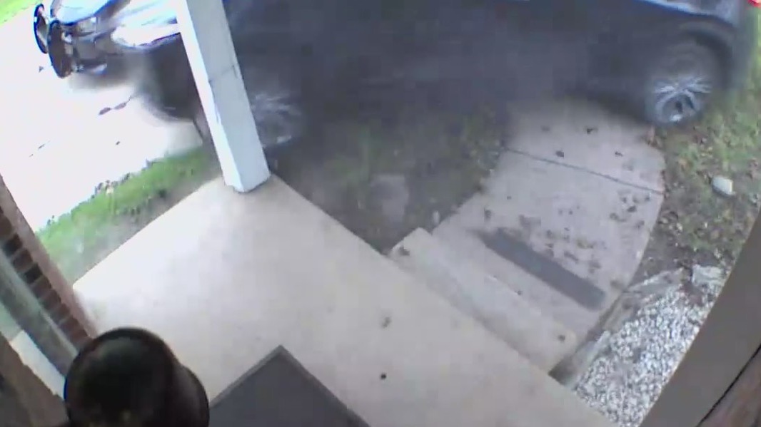 Wild police chase ends in Brownstown with tackles and arrests