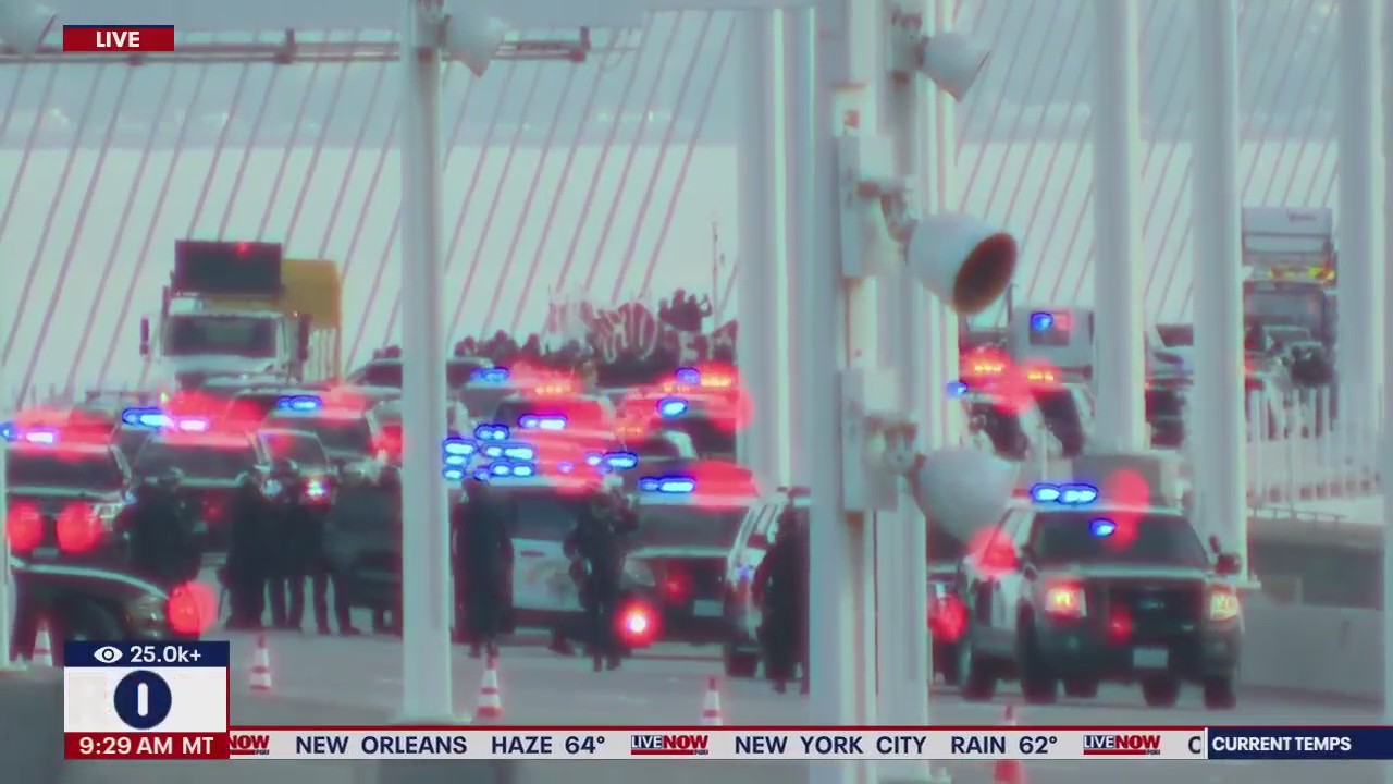 Protests shut down San Francisco's Bay Bridge