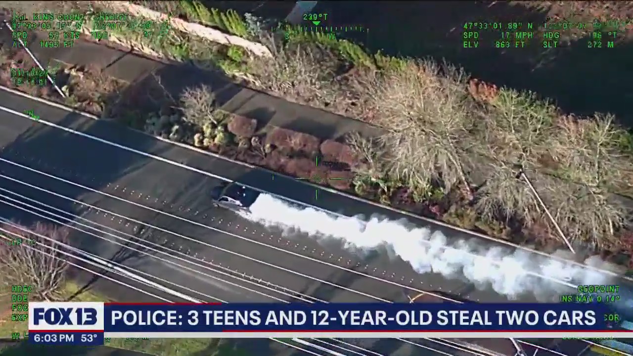 Police: 3 teens and 13-year-old steal two cars