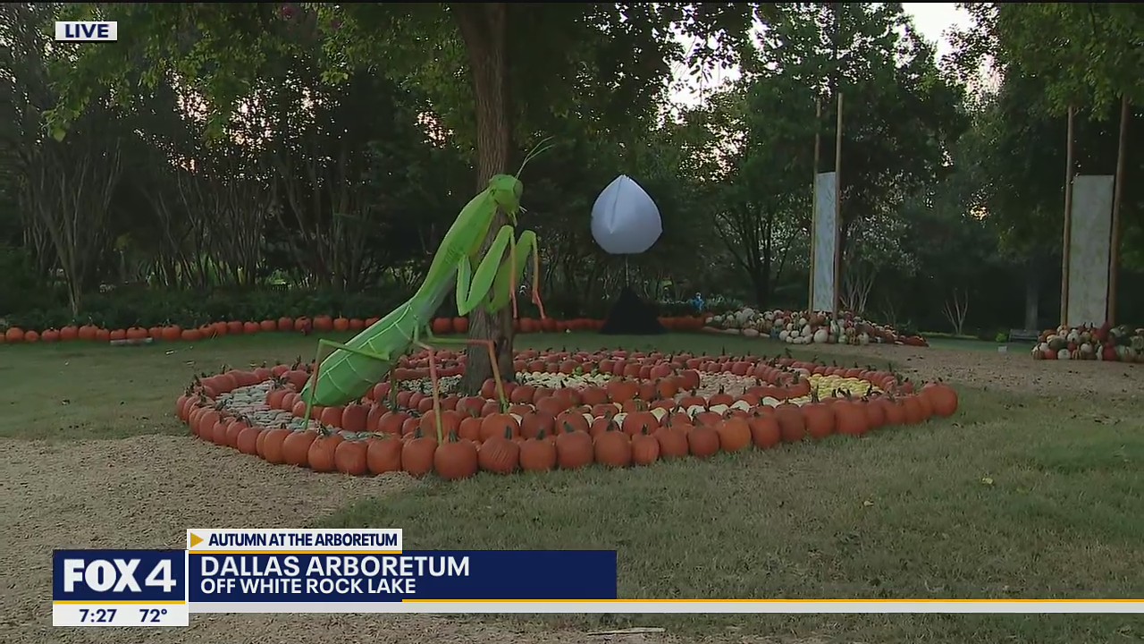 Autumn at the Arboretum returns with Bugtopia theme
