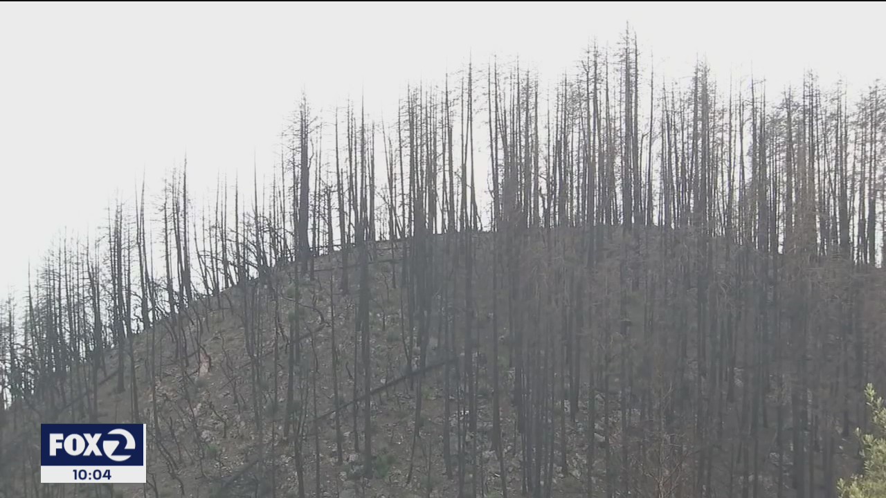 Areas bured by fire are now threatened by intense rainfall