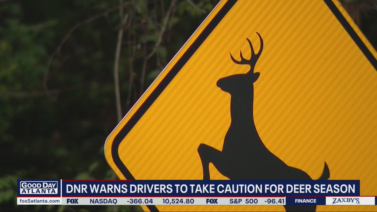 Officials warning Georgia drivers about busy deer season