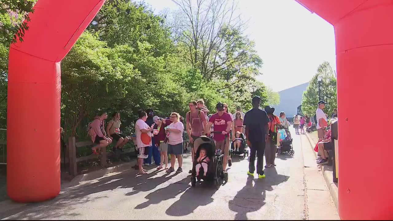 'So happy, so blessed;' thousands converge for annual kidney walk at Detroit Zoo