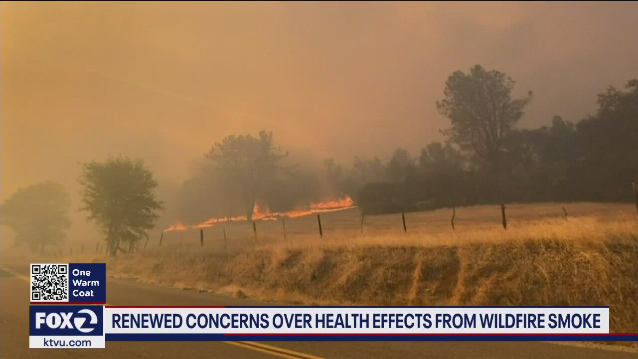 Stanford Researchers publish new guidance to protect California students from wildfire smoke