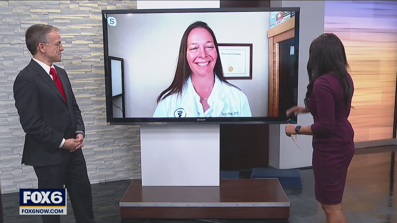 Keeping your pet safe this fall