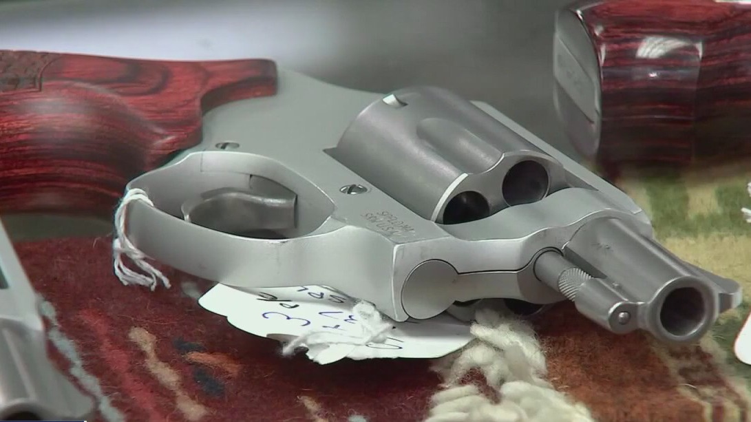 Federal appeals court rules domestic gun violence gun law unconstitutional
